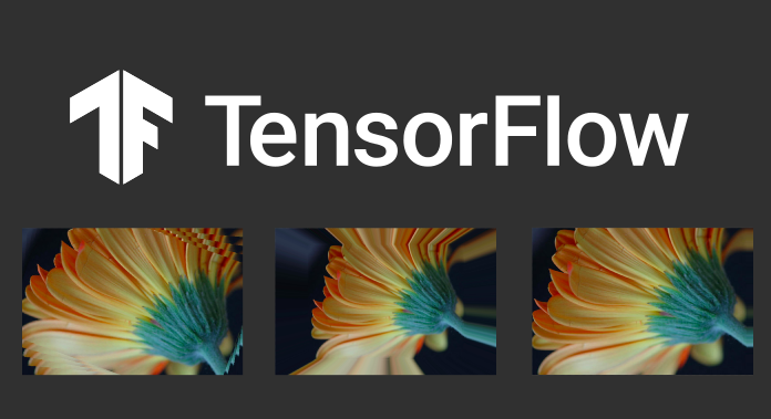 How to classify flowers with Tensorflow.js